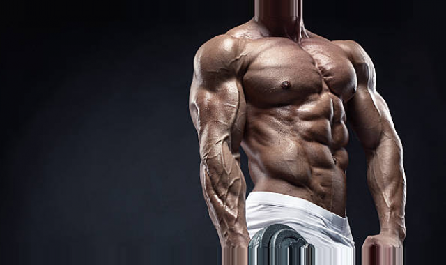 Learn How Anabolic Steroids Work